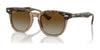 Ray-Ban RJ9098SF Sunglasses | Size 47 / Havana On Transparent №7152T5 / Brown (Polarized) (2P 19%)