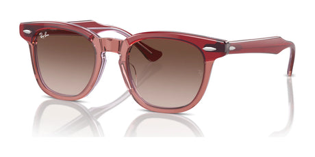 Ray-Ban RJ9098SF Sunglasses | Size 47