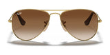 Ray-Ban JUNIOR AVIATOR RJ9506S Sunglasses