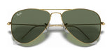 Ray-Ban JUNIOR AVIATOR RJ9506S Sunglasses