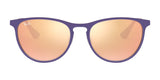 Ray-Ban JUNIOR ERIKA METAL RJ9538S Sunglasses | Size 50