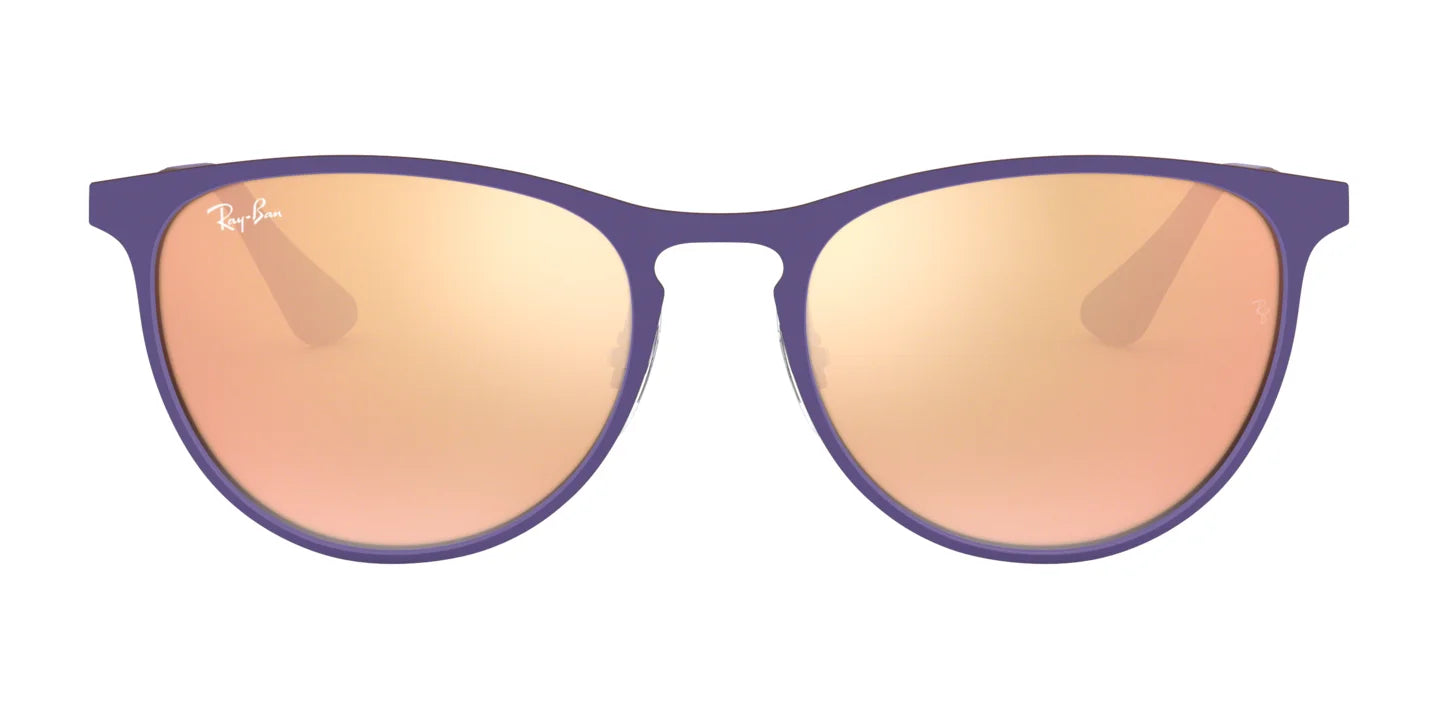 Ray-Ban JUNIOR ERIKA METAL RJ9538S Sunglasses | Size 50