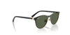 Ray-Ban RJ9552S Sunglasses | Size 47 / Black On Gold №294/71 / Dark Green (3N 12.9%)