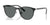 Ray-Ban RJ9552S Sunglasses | Size 47 / Black On Silver №295/81