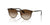 Ray-Ban RJ9552S Sunglasses | Size 47 / Matte Brown On Arista Gold №297/13