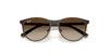 Ray-Ban RJ9552S Sunglasses | Size 47 / Black On Gold №294/71 / Dark Green (3N 12.9%)