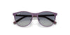 Ray-Ban RJ9552S Sunglasses | Size 47 / Black On Gold №294/71 / Dark Green (3N 12.9%)