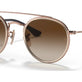 Light Brown №288/13