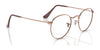 Ray-Ban ROUND METAL RX3447V Eyeglasses / Arista Gold №2500 / Size 47