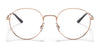 Ray-Ban RX3681V Eyeglasses / Arista Gold №2500 / Size 48