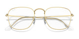 Ray-Ban FRANK RX3857V Eyeglasses