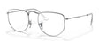 Ray-Ban ELON RX3958V Eyeglasses Silver / Clear