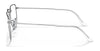 Ray-Ban ELON RX3958V Eyeglasses / Silver №2501 / Clear / Size 47