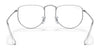 Ray-Ban ELON RX3958V Eyeglasses / Silver №2501 / Clear / Size 47