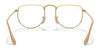 Ray-Ban ELON RX3958V Eyeglasses / Silver №2501 / Clear / Size 47