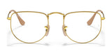 Ray-Ban ELON RX3958V Eyeglasses