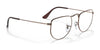 Ray-Ban ELON RX3958V Eyeglasses / Silver №2501 / Clear / Size 47