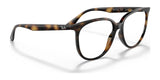 Ray-Ban RX4378V Eyeglasses