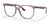 Ray-Ban RX4378V Eyeglasses / Transparent Grey №8083