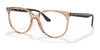 Ray-Ban RX4378V Eyeglasses / Transparent Brown №8172 / Size 52