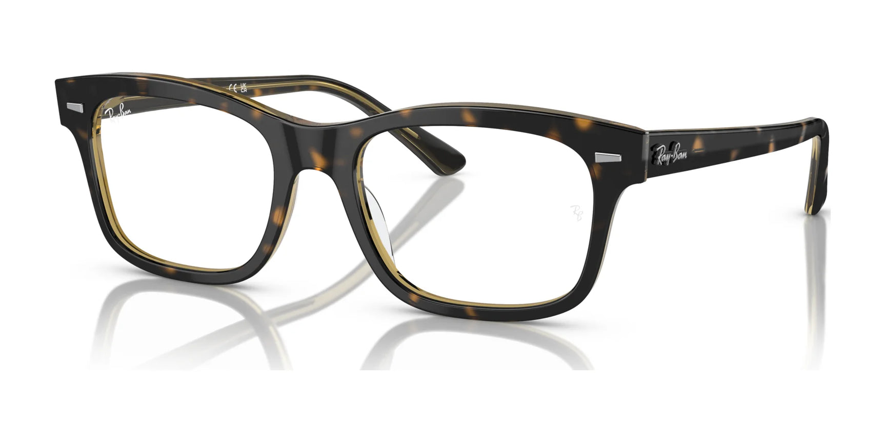 Ray-Ban MR BURBANK RX5383 Eyeglasses