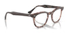 Ray-Ban HAWKEYE RX5398 Eyeglasses / Brown On Pink Havana №8284 / Size 48