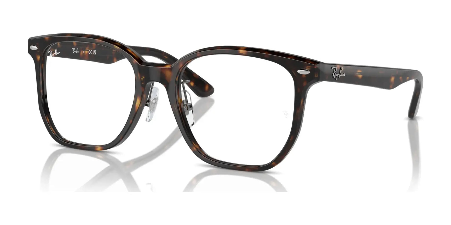 Ray-Ban RX5425D Eyeglasses