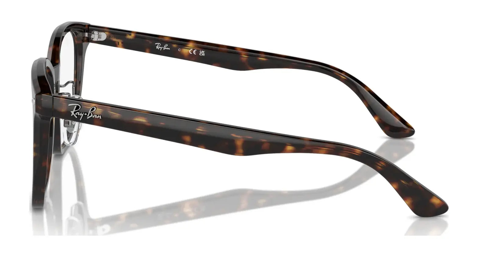 Ray-Ban RX5425D Eyeglasses