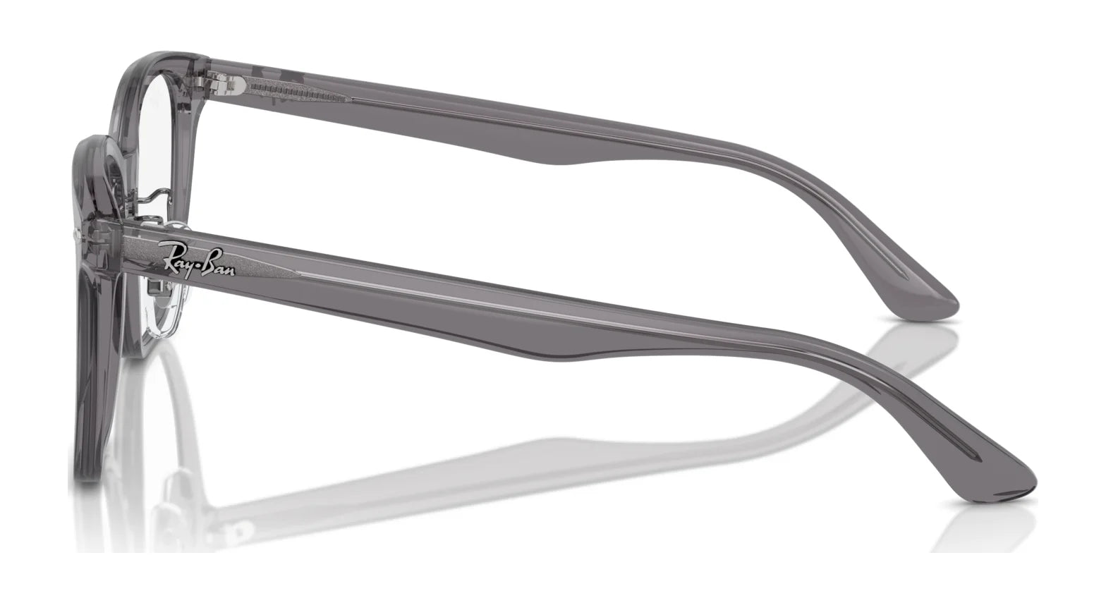 Ray-Ban RX5425D Eyeglasses