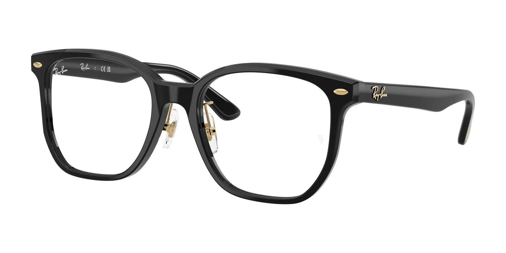 Ray-Ban RX5425D Eyeglasses Black