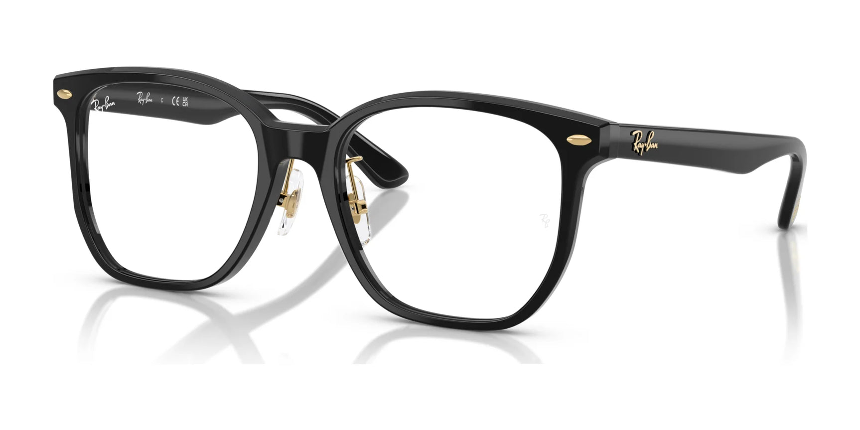 Ray-Ban RX5425D Eyeglasses