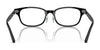Ray-Ban RX5427D Eyeglasses | Size 53 / Black №8286