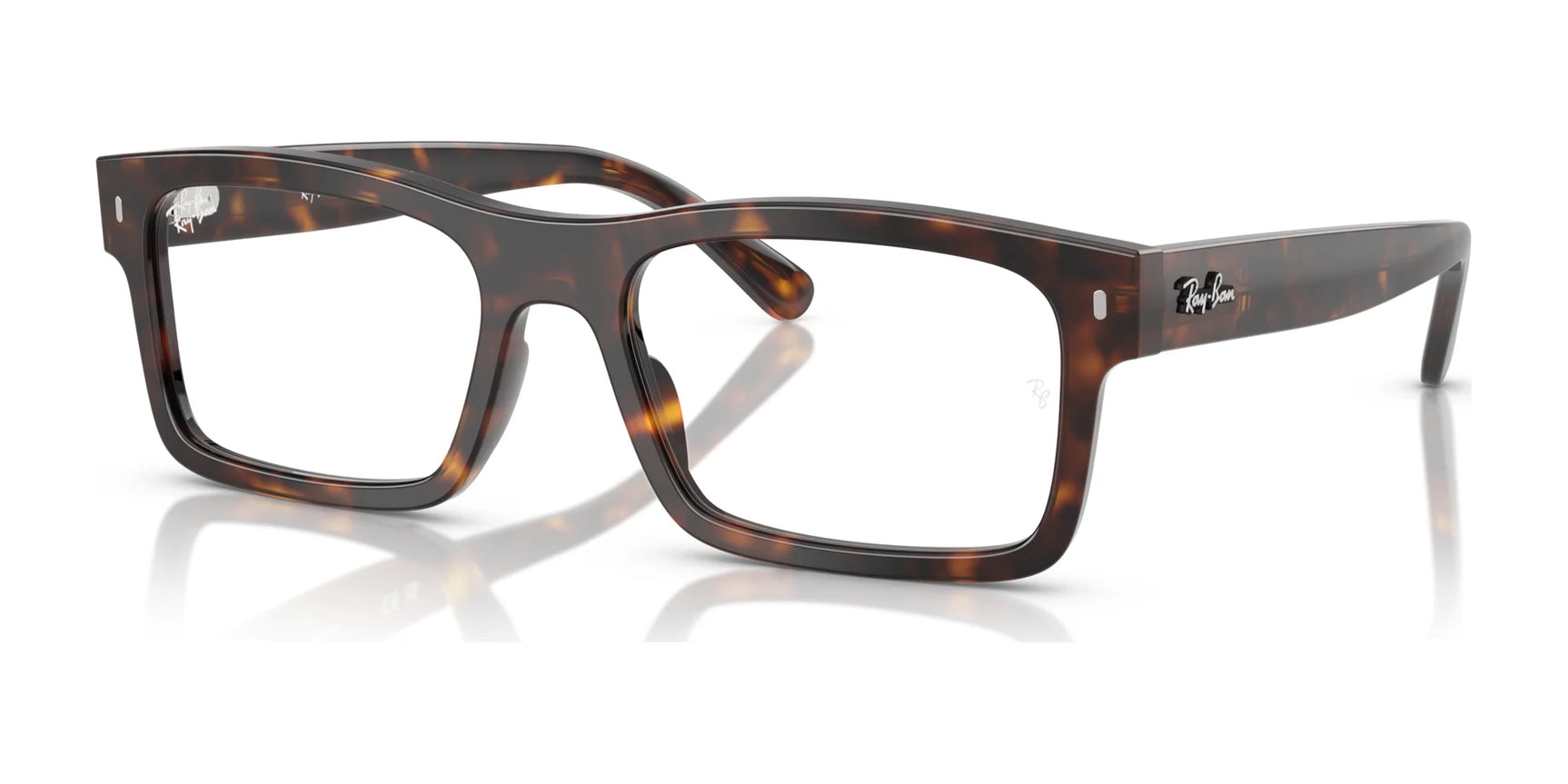 Ray-Ban RX5435 Eyeglasses