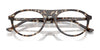 Ray-Ban RX5441 Eyeglasses / Black №2000 / Size 51