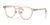 Ray-Ban RX5443D Eyeglasses | Size 49 / Transparent Light Brown №8267