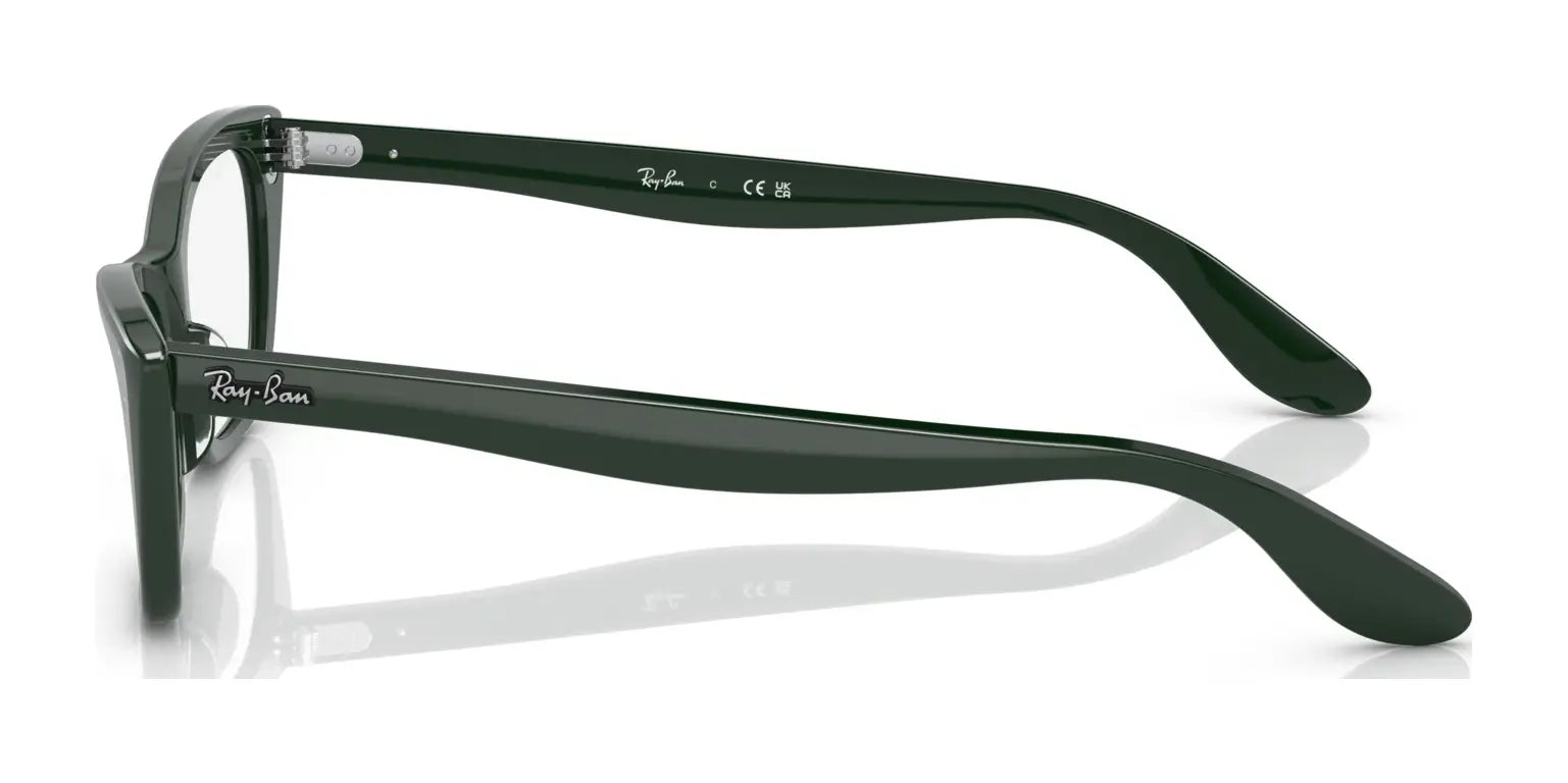 Ray-Ban LADY BURBANK RX5499 Eyeglasses