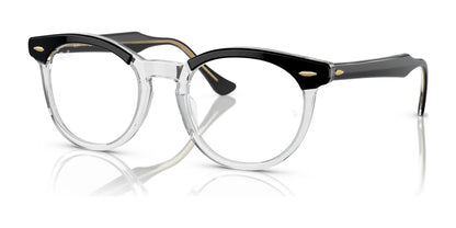 Ray-Ban EAGLEEYE RX5598 Eyeglasses Black On Transparent