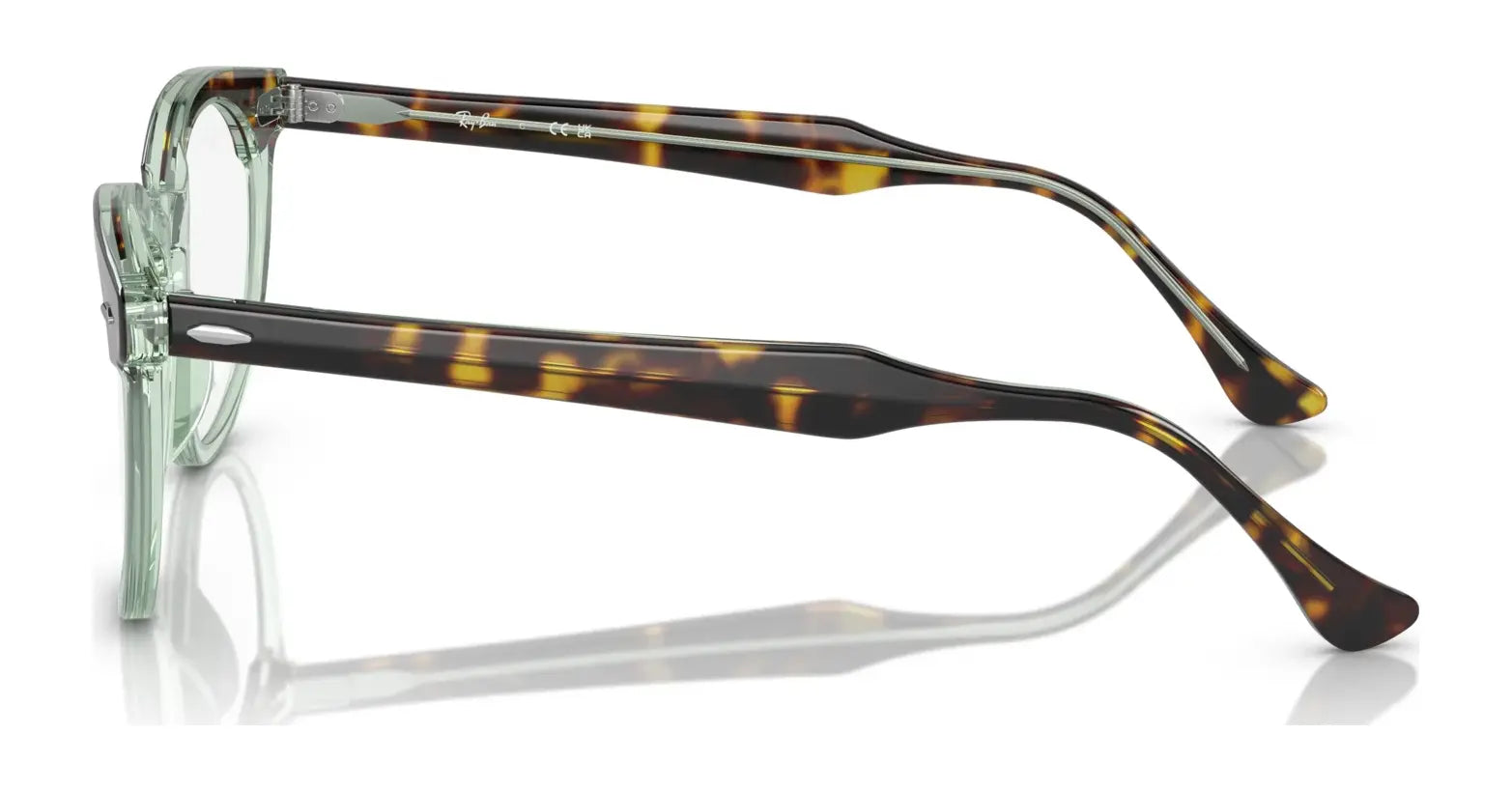 Ray-Ban EAGLEEYE RX5598 Eyeglasses