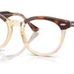 Light Havana On Multicolor №8402
