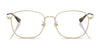 Ray-Ban RX6418D Eyeglasses | Size 53 / Pale Gold №2993