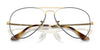 Ray-Ban AVIATOR RX6489 Eyeglasses / Arista Gold №2500 / Size 55