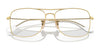 Ray-Ban RX6498 Eyeglasses | Size 57 / Arista Gold №2500