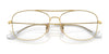 Ray-Ban RX6499 Eyeglasses | Size 55 / Arista Gold №2500