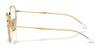 Ray-Ban RX6509 Eyeglasses / Arista Gold №2500 / Size 51