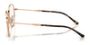 Ray-Ban RX6509 Eyeglasses / Arista Gold №2500 / Size 51