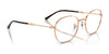 Ray-Ban RX6509 Eyeglasses / Arista Gold №2500 / Size 51