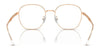Ray-Ban RX6515D Eyeglasses | Size 54 / Black On Gold №2991