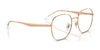 Ray-Ban RX6515D Eyeglasses | Size 54 / Black On Gold №2991