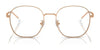 Ray-Ban RX6515D Eyeglasses | Size 54 / Black On Gold №2991