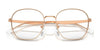 Ray-Ban RX6515D Eyeglasses | Size 54 / Black On Gold №2991